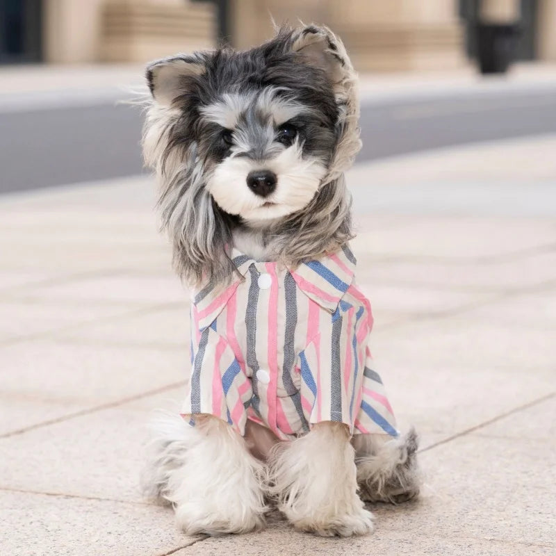 Luxury Dog Striped Shirt Soft Dog Clothes Cute Pet Shirt Summer Puppy Top Bear Print Cat Vest Jacket Pet Coat Yorkie Dog Outfits